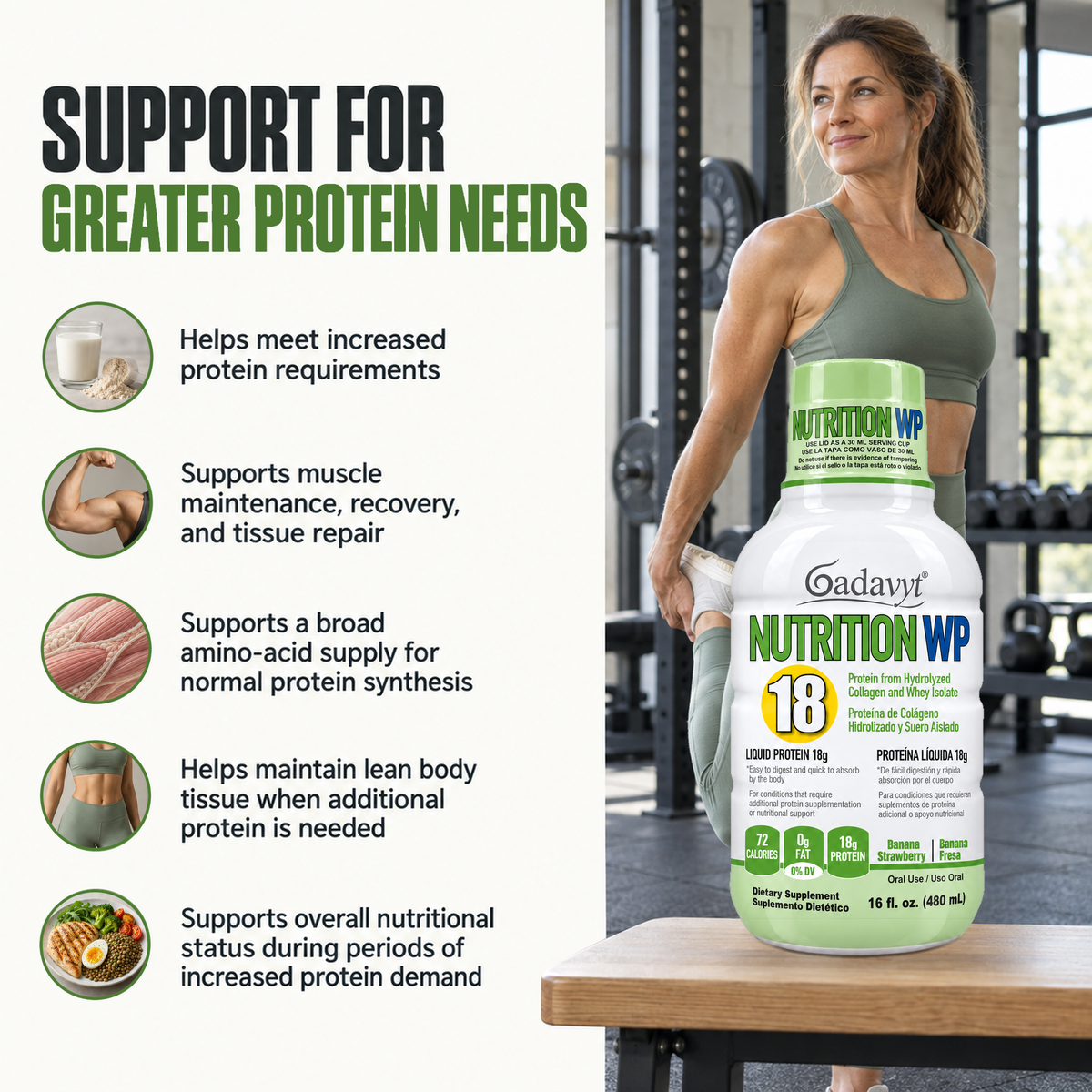 Nutrition WP