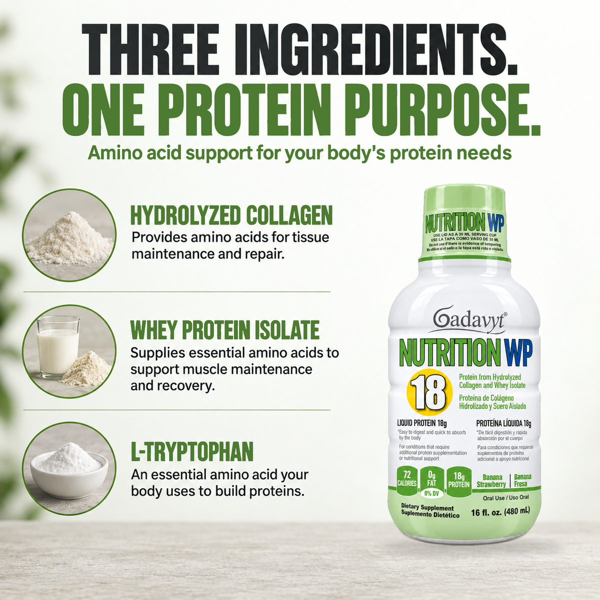 Nutrition WP