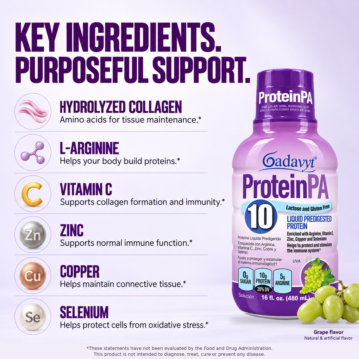 Protein PA